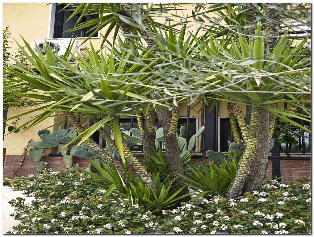 Hotel Veronese Cerignola Εξωτερικό φωτογραφία